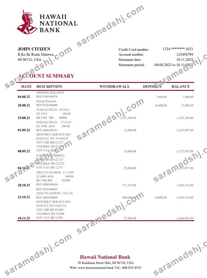 Hawaii Hawaii National Bank statement